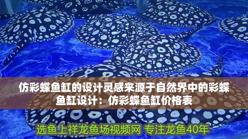 仿彩蝶魚(yú)缸的設(shè)計(jì)靈感來(lái)源于自然界中的彩蝶魚(yú)缸設(shè)計(jì)：仿彩蝶魚(yú)缸價(jià)格表