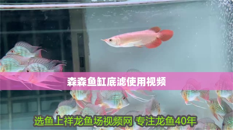 森森魚缸底濾使用視頻