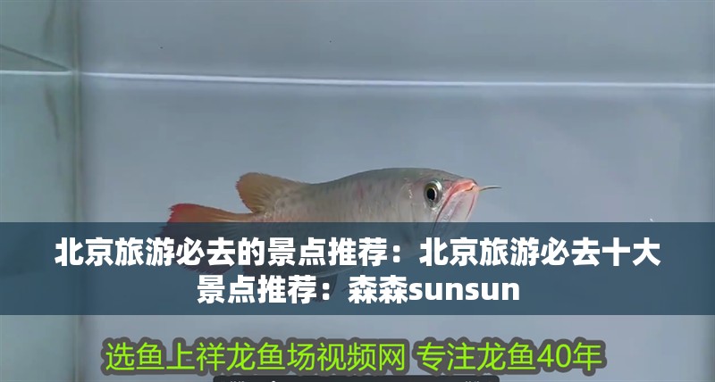 <strong><mark>北京</mark></strong>旅游必去的景點推薦：<strong><mark>北京</mark></strong>旅游必去十大景點推薦：森森sunsun