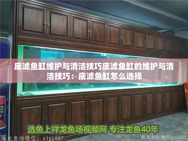 底濾魚缸維護與清潔技巧底濾魚缸的維護與清潔技巧：底濾魚缸怎么選擇