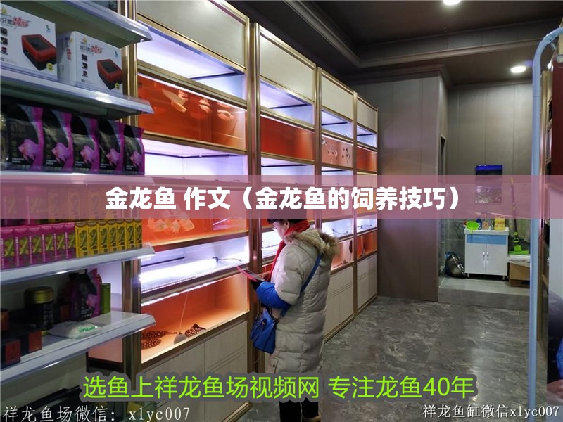 金龍魚 作文（金龍魚的飼養技巧） 金龍魚 作文（金龍魚的飼養技巧） 龍魚百科