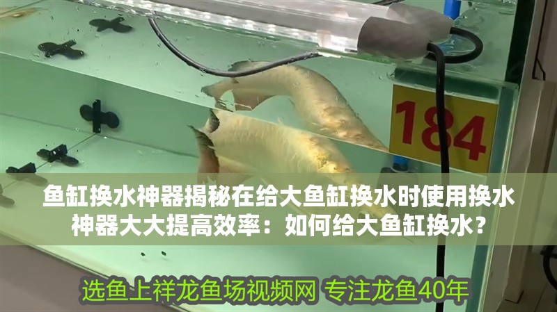 魚缸換水神器揭秘在給大魚缸換水時使用換水神器大大提高效率：如何給大魚缸換水？