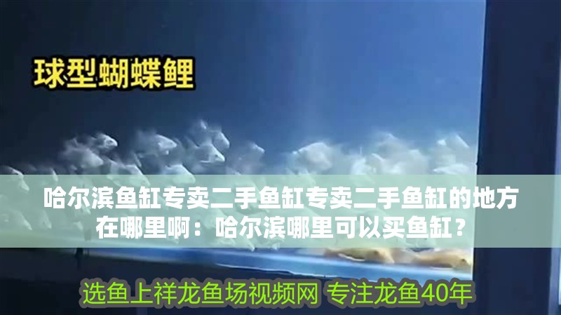 哈爾濱魚缸專賣二手魚缸專賣二手魚缸的地方在哪里?。汗枮I哪里可以買魚缸？