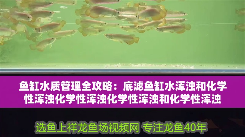 魚缸水質管理全攻略：底濾魚缸水渾濁和化學性渾濁化學性渾濁化學性渾濁和化學性渾濁 魚缸水質管理全攻略：底濾魚缸水渾濁和化學性渾濁化學性渾濁化學性渾濁和化學性渾濁 魚缸百科