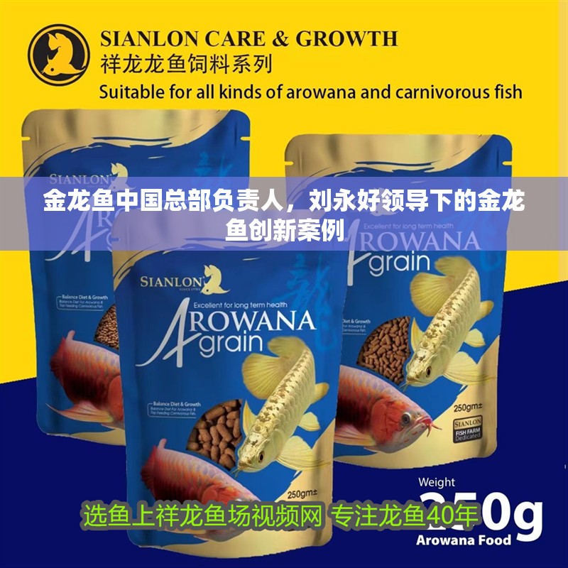 金龍魚中國總部負責人，劉永好領導下的金龍魚創新案例