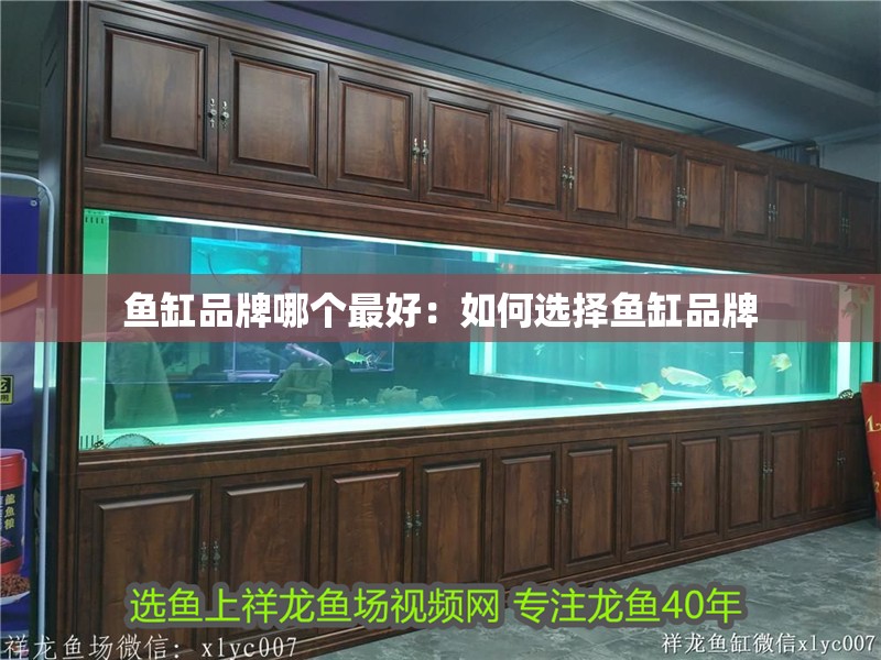 魚缸品牌哪個最好：如何選擇魚缸品牌