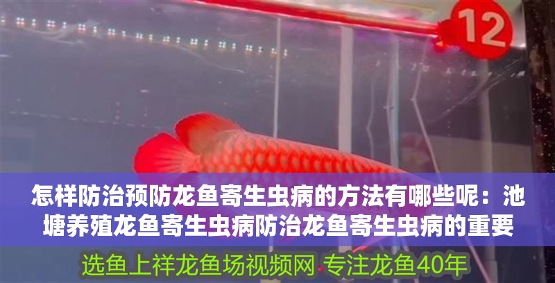 怎樣防治預防龍魚寄生蟲病的方法有哪些呢：池塘養殖龍魚寄生蟲病防治龍魚寄生蟲病的重要手段 怎樣防治預防龍魚寄生蟲病的方法有哪些呢：池塘養殖龍魚寄生蟲病防治龍魚寄生蟲病的重要手段 龍魚百科