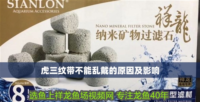 虎三紋帶不能亂戴的原因及影響 虎三紋帶不能亂戴的原因及影響 龍魚論壇