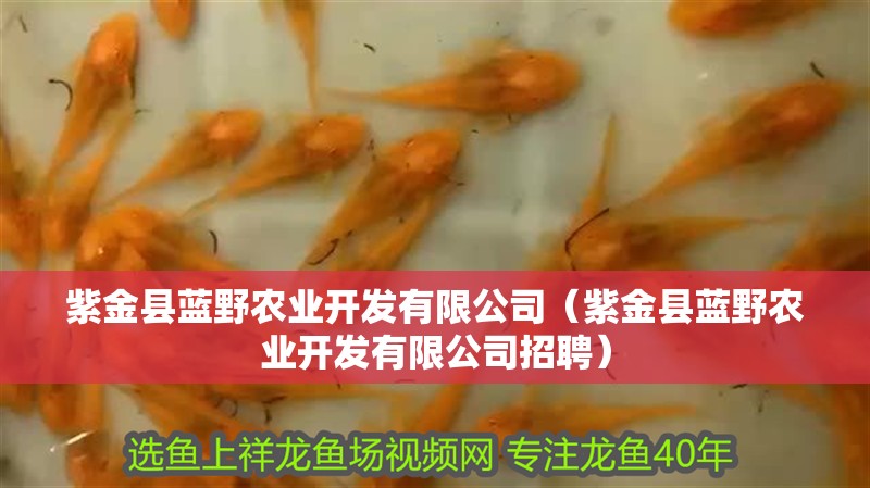 紫金縣藍(lán)野農(nóng)業(yè)開發(fā)有限公司（紫金縣藍(lán)野農(nóng)業(yè)開發(fā)有限公司招聘）