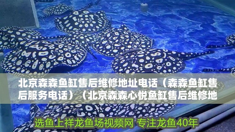北京森森魚缸售后維修地址電話（森森魚缸售后服務電話）（北京森森心悅魚缸售后維修地址電話）