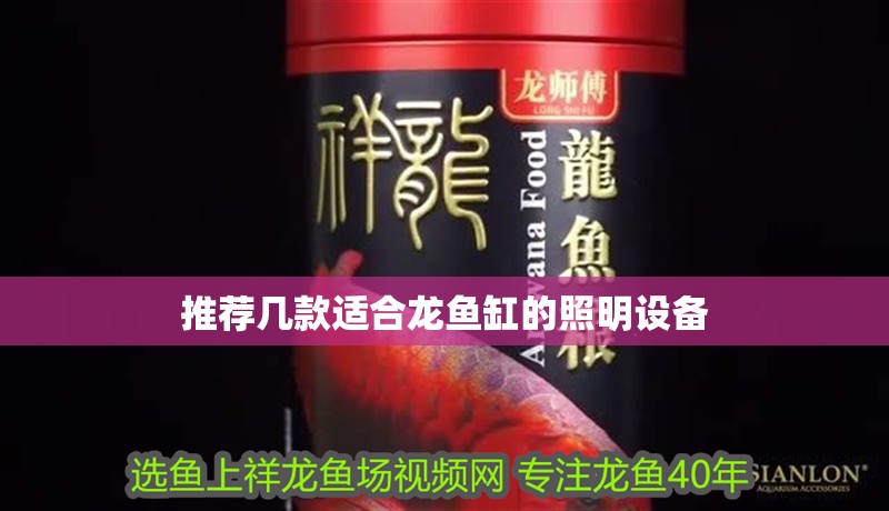 推薦幾款適合龍魚缸的照明設備