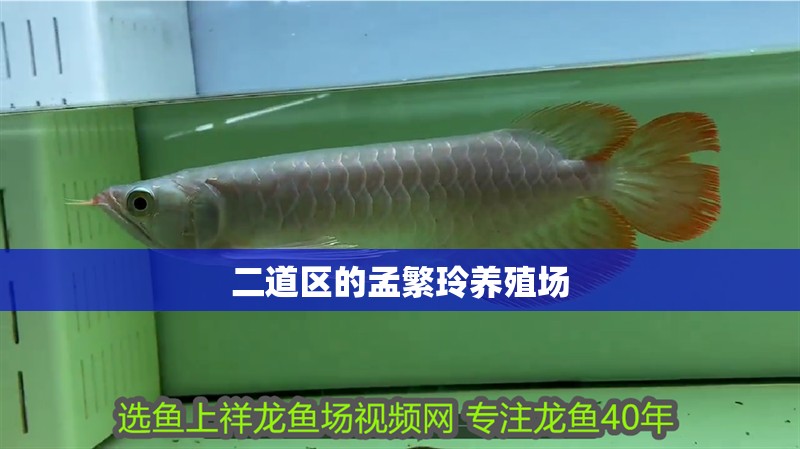 二道區(qū)的孟繁玲養(yǎng)殖場(chǎng) 二道區(qū)的孟繁玲養(yǎng)殖場(chǎng) 全國(guó)水族館企業(yè)名錄