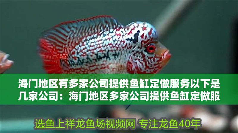 海門地區有多家公司提供魚缸定做服務以下是幾家公司：海門地區多家公司提供魚缸定做服務以下是幾家公司