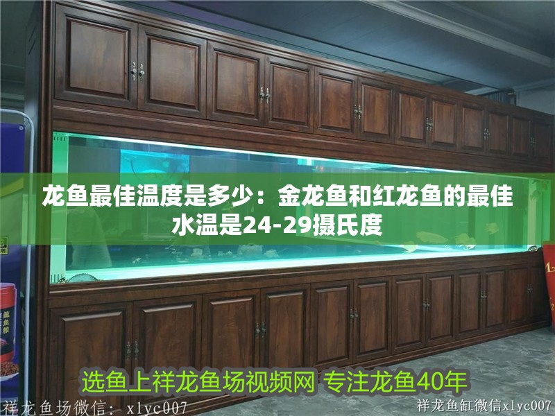 龍魚最佳溫度是多少：金龍魚和紅龍魚的最佳水溫是24-29攝氏度