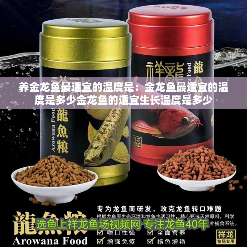 養金龍魚最適宜的溫度是:金龍魚最適宜的溫度是多少金龍魚的適宜生長溫度是多少