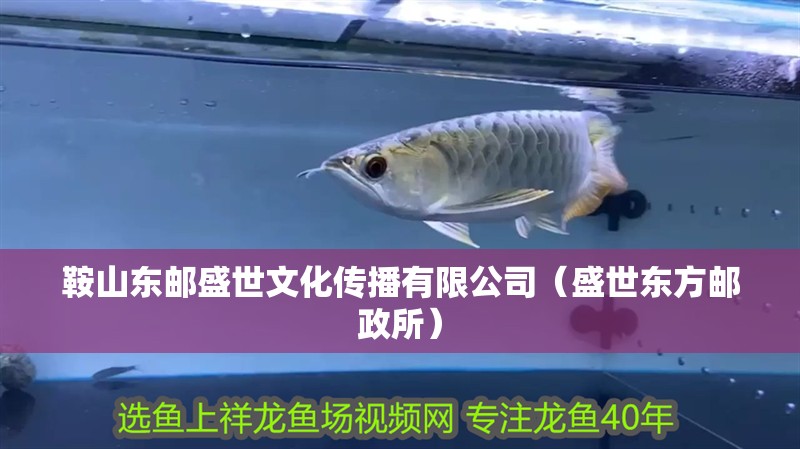 <strong><mark>鞍山</mark></strong>東郵盛世文化傳播有限公司（盛世東方郵政所）