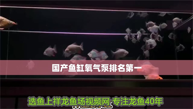 國產魚缸氧氣泵排名第一
