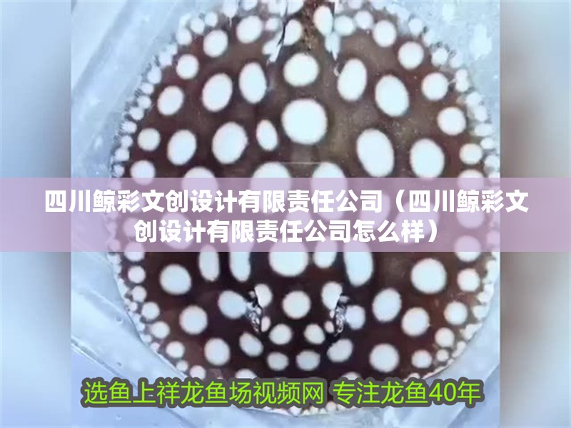 <strong><mark>四川</mark></strong>鯨彩文創設計有限責任公司（<strong><mark>四川</mark></strong>鯨彩文創設計有限責任公司怎么樣）