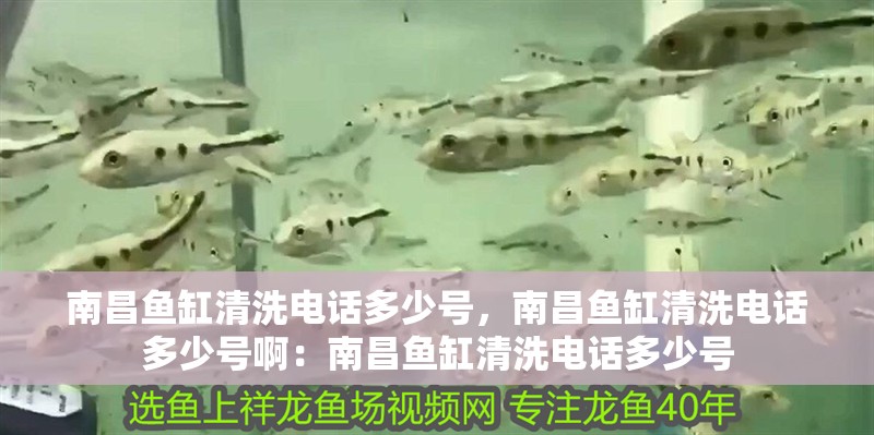 南昌魚缸清洗電話多少號，南昌魚缸清洗電話多少號?。耗喜~缸清洗電話多少號 南昌魚缸清洗電話多少號，南昌魚缸清洗電話多少號?。耗喜~缸清洗電話多少號 魚缸百科