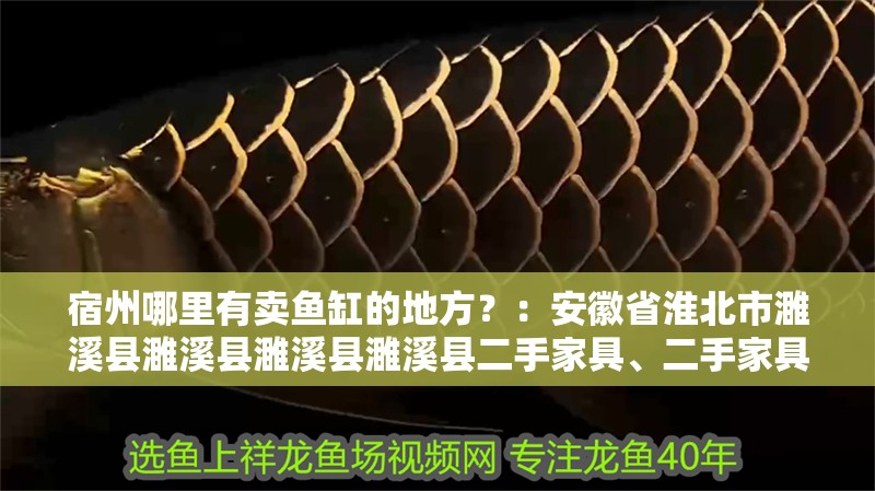 宿州哪里有賣魚缸的地方？：安徽省淮北市<strong><mark>濉溪</mark></strong>縣<strong><mark>濉溪</mark></strong>縣<strong><mark>濉溪</mark></strong>縣<strong><mark>濉溪</mark></strong>縣二手家具、二手家具