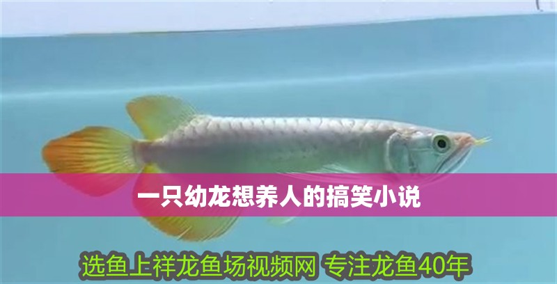 一只幼龍想養(yǎng)人的搞笑小說