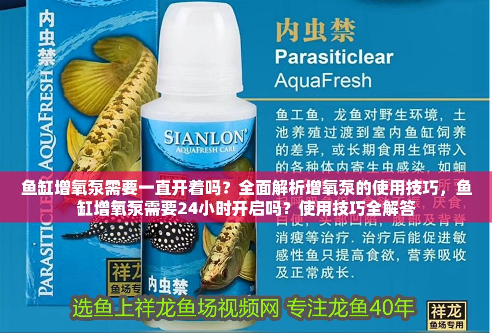 魚缸增氧泵需要一直開著嗎？全面解析增氧泵的使用技巧，魚缸增氧泵需要24小時開啟嗎？使用技巧全解答 魚缸增氧泵需要一直開著嗎？全面解析增氧泵的使用技巧，魚缸增氧泵需要24小時開啟嗎？使用技巧全解答 龍魚百科 第1張