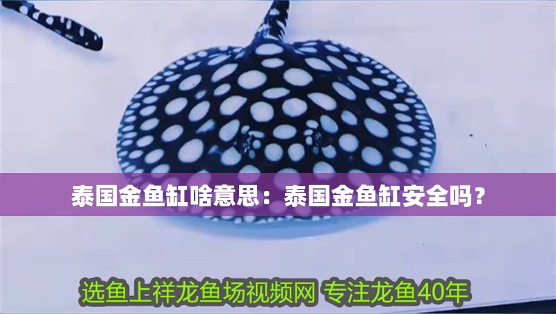 泰國金魚缸啥意思：泰國金魚缸安全嗎？