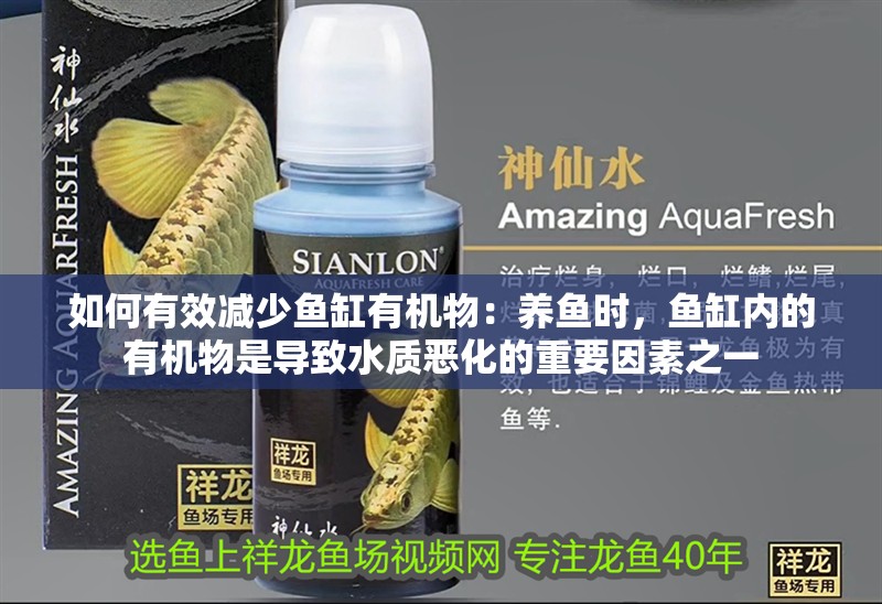 如何有效減少魚缸有機物：養魚時，魚缸內的有機物是導致水質惡化的重要因素之一
