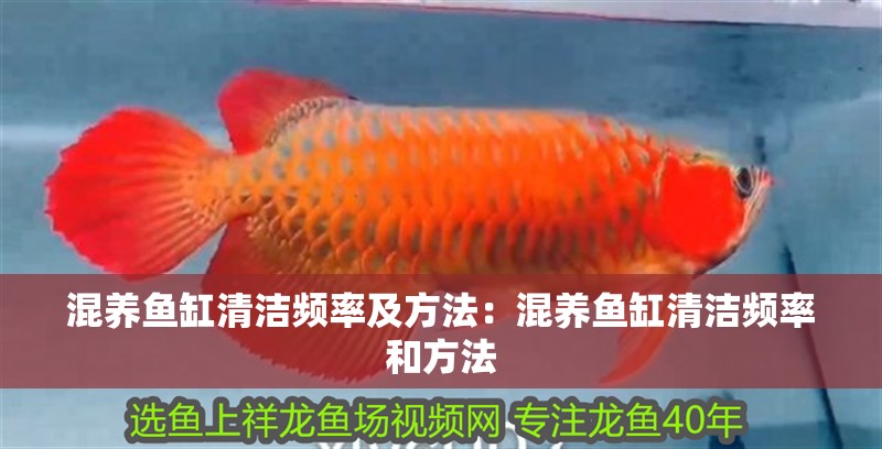 魚(yú)缸過(guò)濾器選購(gòu)指南:自制魚(yú)缸過(guò)濾器魚(yú)缸上置過(guò)濾器對(duì)于養(yǎng)魚(yú)愛(ài)好者的必備知識(shí) 混養(yǎng)魚(yú)缸清潔頻率及方法:混養(yǎng)魚(yú)缸清潔頻率和方法 魚(yú)缸百科 混養(yǎng)魚(yú)缸清潔頻率及方法:混養(yǎng)魚(yú)缸清潔頻率和方法 混養(yǎng)魚(yú)缸清潔頻率及方法:混養(yǎng)魚(yú)缸清潔頻率和方法 魚(yú)缸百科