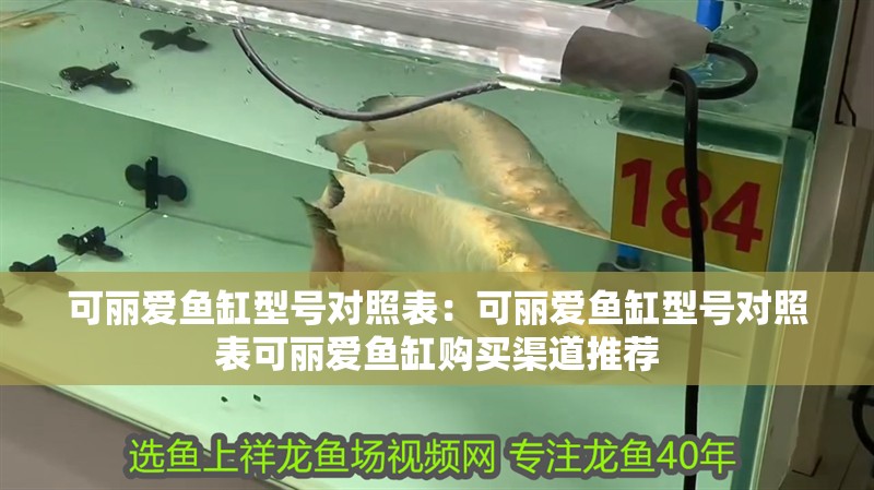 可麗愛魚缸型號對照表：可麗愛魚缸型號對照表可麗愛魚缸購買渠道推薦