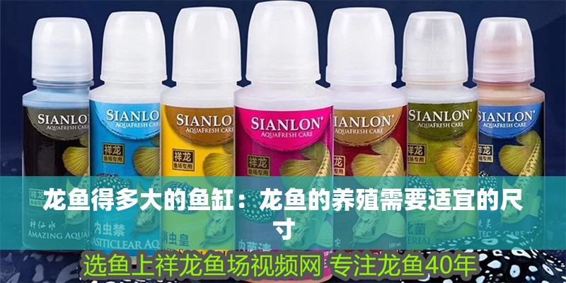 龍魚得多大的魚缸：龍魚的養殖需要適宜的尺寸 龍魚得多大的魚缸：龍魚的養殖需要適宜的尺寸 龍魚百科