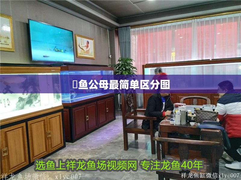 魟魚公母最簡單區(qū)分圖