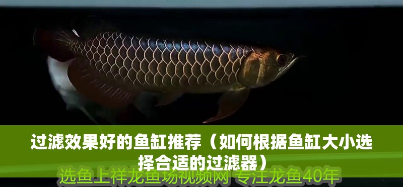 過濾效果好的魚缸推薦（如何根據魚缸大小選擇合適的過濾器） 過濾效果好的魚缸推薦（如何根據魚缸大小選擇合適的過濾器） 魚缸百科
