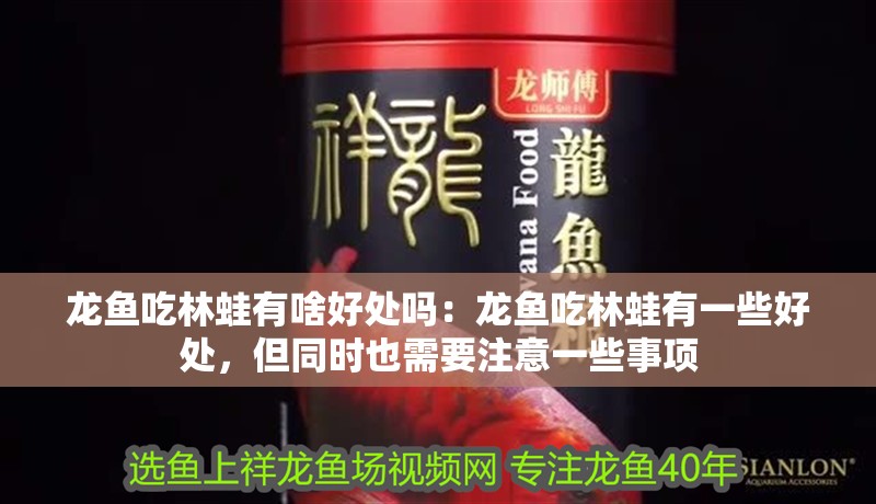 龍魚吃林蛙有啥好處嗎：龍魚吃林蛙有一些好處，但同時也需要注意一些事項