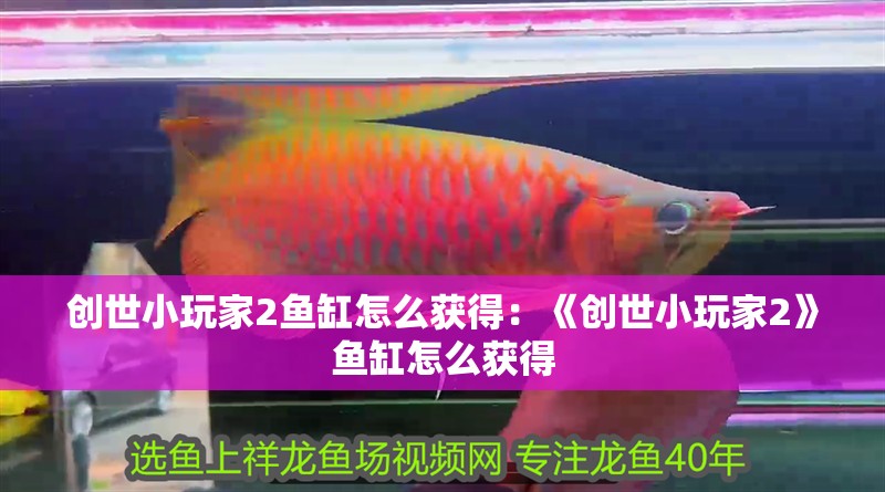 創世小玩家2魚缸怎么獲得：《創世小玩家2》魚缸怎么獲得 創世小玩家2魚缸怎么獲得：《創世小玩家2》魚缸怎么獲得 魚缸百科