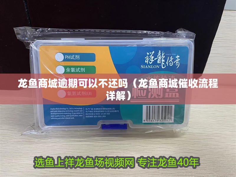 龍魚商城逾期可以不還嗎（龍魚商城催收流程詳解）