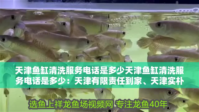 天津魚缸清洗服務電話是多少天津魚缸清洗服務電話是多少：天津有限責任到家、天津實樸檢測技術、天津實樸檢測技術