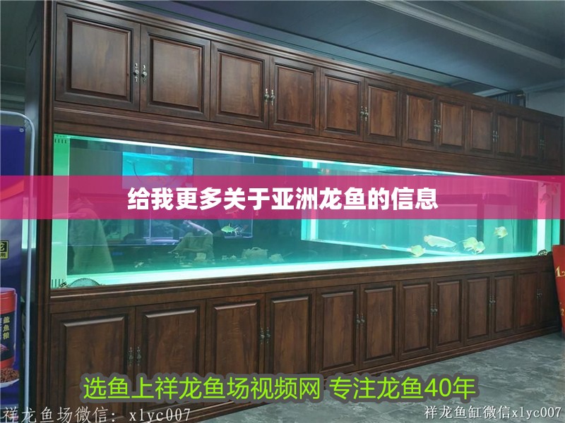 給我更多關于亞洲龍魚的信息