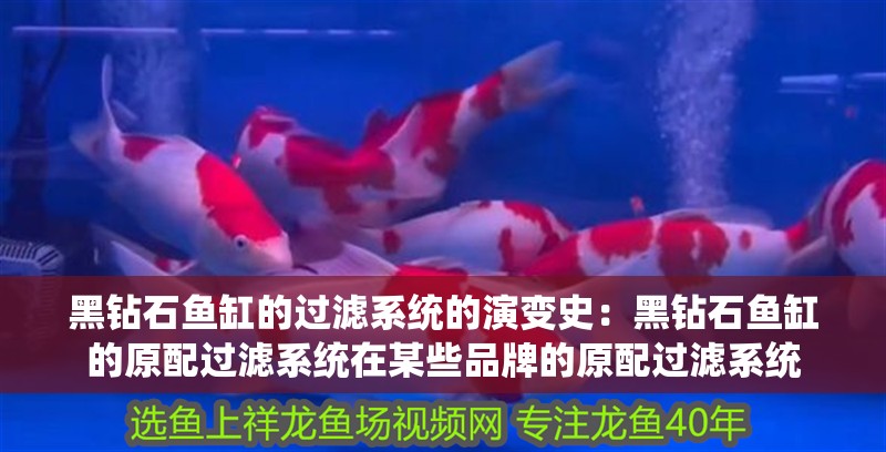 黑鉆石魚缸的過濾系統的演變史：黑鉆石魚缸的原配過濾系統在某些品牌的原配過濾系統