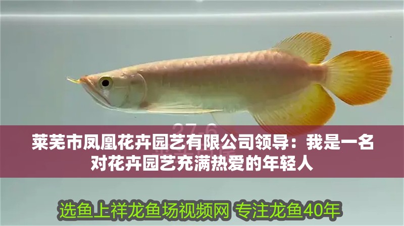 萊蕪市鳳凰花卉園藝有限公司領(lǐng)導(dǎo)：我是一名對花卉園藝充滿熱愛的年輕人 萊蕪市鳳凰花卉園藝有限公司領(lǐng)導(dǎo)：我是一名對花卉園藝充滿熱愛的年輕人 全國水族館企業(yè)名錄