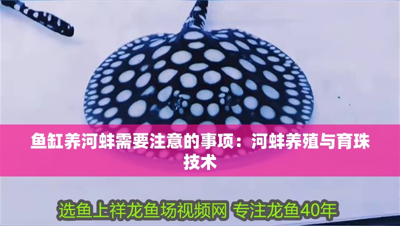 魚缸養(yǎng)河蚌需要注意的事項：河蚌養(yǎng)殖與育珠技術(shù)