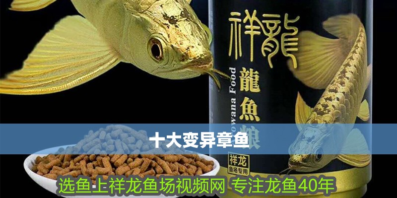 十大變異章魚 十大變異章魚 龍魚論壇