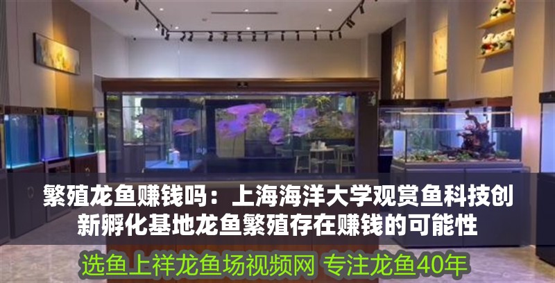 繁殖龍魚(yú)賺錢(qián)嗎：上海海洋大學(xué)觀(guān)賞魚(yú)科技創(chuàng)新孵化基地龍魚(yú)繁殖存在賺錢(qián)的可能性