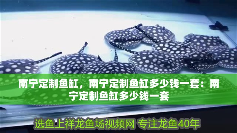 南寧定制魚缸，南寧定制魚缸多少錢一套：南寧定制魚缸多少錢一套