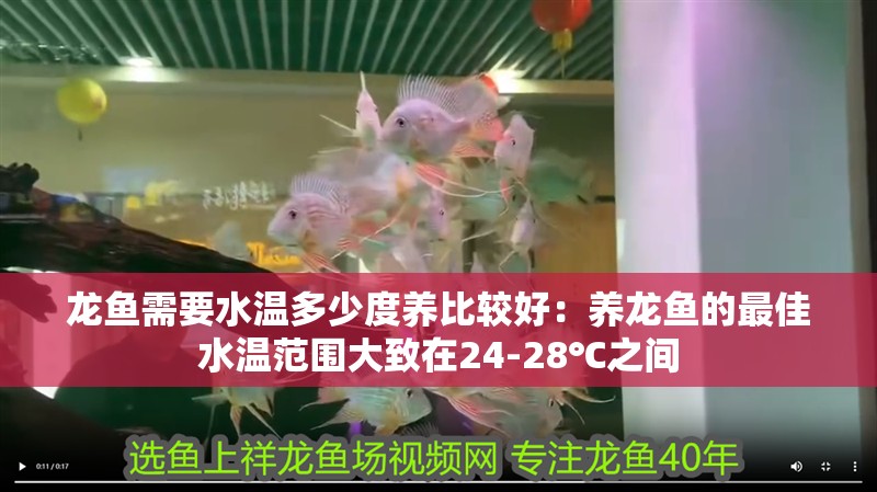 龍魚需要水溫多少度養比較好：養龍魚的最佳水溫范圍大致在24-28℃之間 龍魚需要水溫多少度養比較好：養龍魚的最佳水溫范圍大致在24-28℃之間 龍魚百科