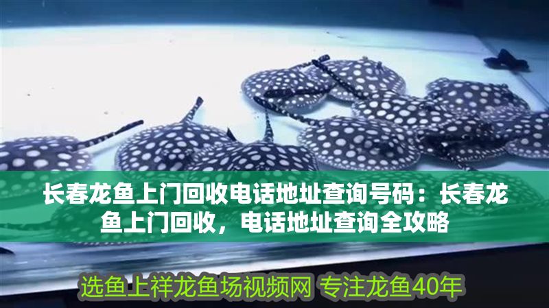 長春龍魚上門回收電話地址查詢號碼：長春龍魚上門回收，電話地址查詢全攻略