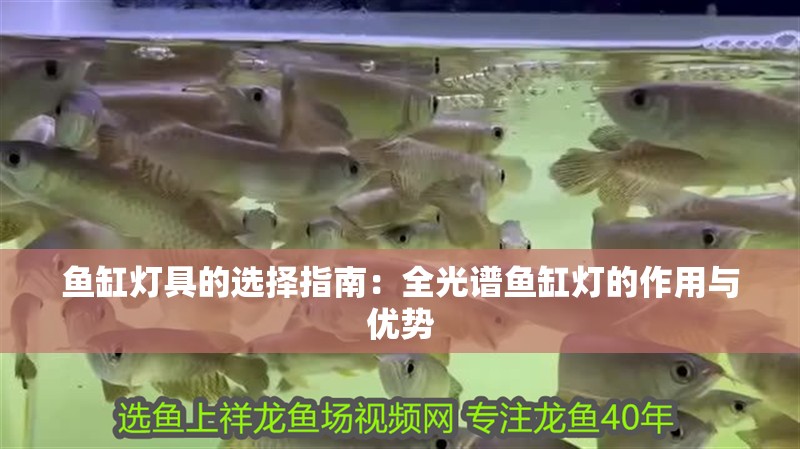 魚缸用增氧泵價格是多少:魚缸增氧機-xtrac增氧機-xtrac增氧機 魚缸燈具的選擇指南:全光譜魚缸燈的作用與優勢 魚缸百科 魚缸燈具的選擇指南:全光譜魚缸燈的作用與優勢 魚缸燈具的選擇指南:全光譜魚缸燈的作用與優勢 魚缸百科