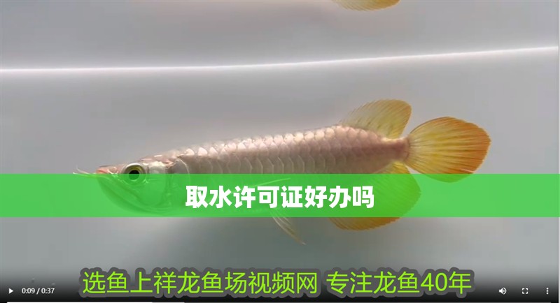 取水許可證好辦嗎