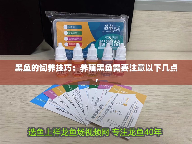 黑魚的飼養(yǎng)技巧：養(yǎng)殖黑魚需要注意以下幾點(diǎn)，