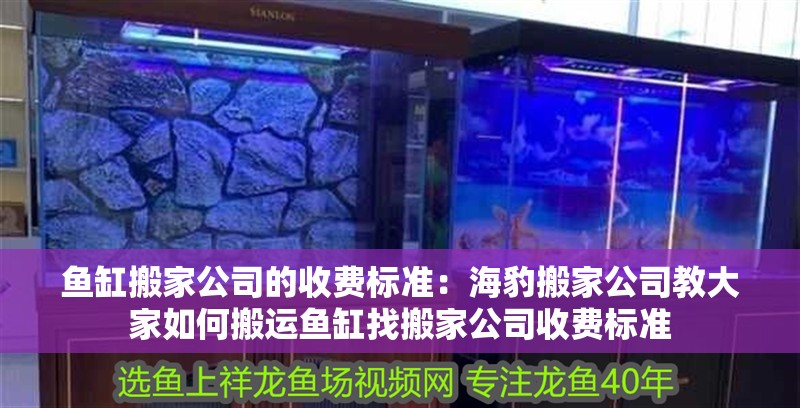 魚缸搬家公司的收費標準：海豹搬家公司教大家如何搬運魚缸找搬家公司收費標準